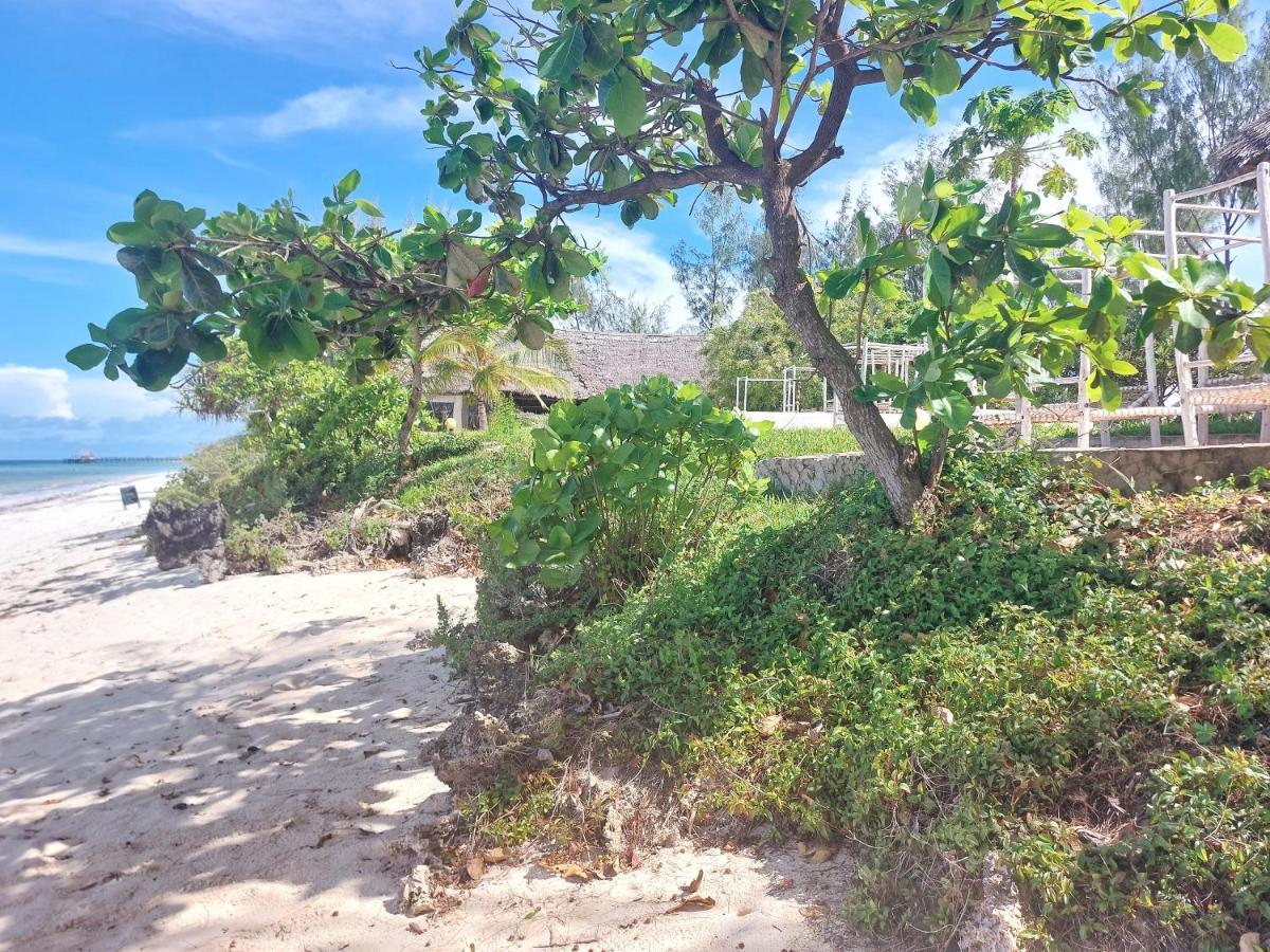 Jaribu Beach Hotel Paje Bagian luar foto