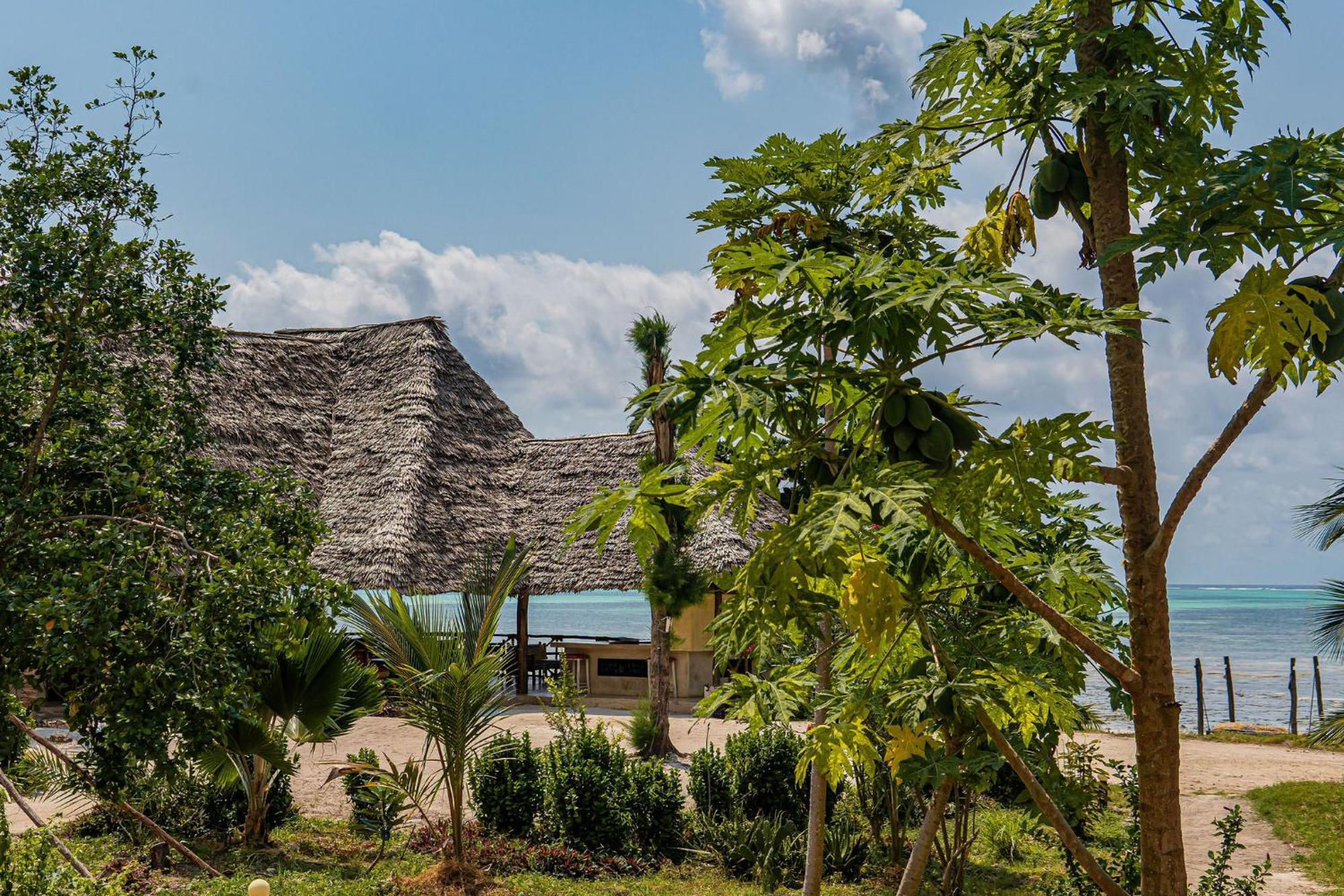 Jaribu Beach Hotel Paje Bagian luar foto